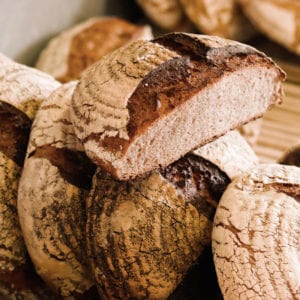 Read more about the article Celebrate Sourdough September with Ross and Ross!